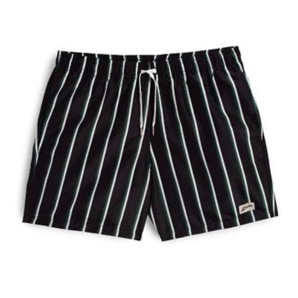 Bather Men's Fine Stripe Swim Trunk Blue Green Medium